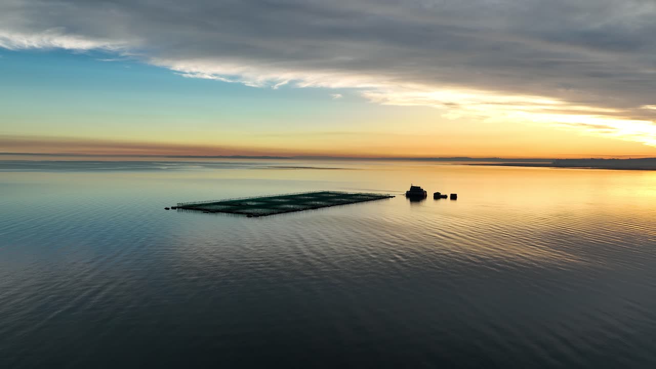 Aerial View Of Salmon Farming Pontoon With Golden Orange Sunset On Horizon Over Calm Sea Waters