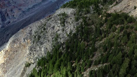 Drohnenaufnahme-über-Bewaldeten-Schweizer-Alpen,-Die-Den-Blick-Auf-Den-Aletschgletscher-Und-Die-Schweizer-Berglandschaft-Freigibt