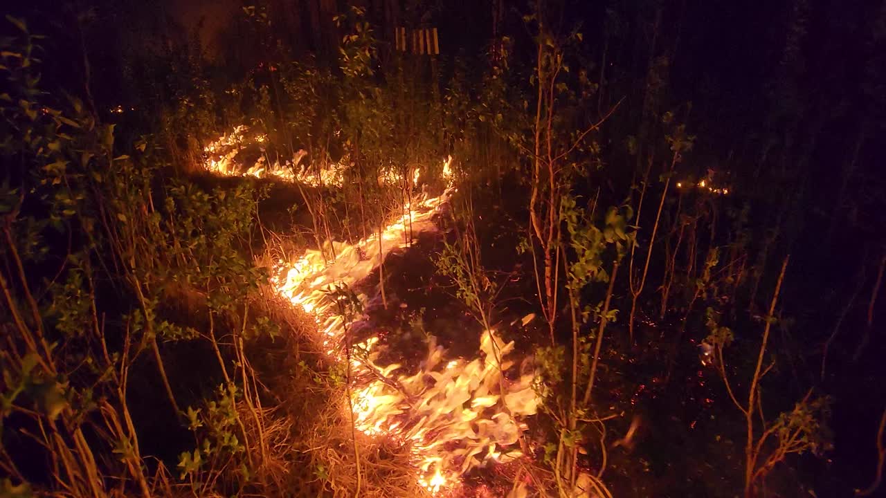 disparo de proximidad de la línea de incendio forestal ardiendo entre la vegetación por la noche