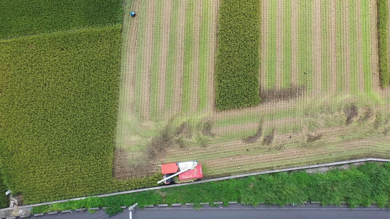 공중 드론 영상은 논을 재배하고, 농부는 대만 doliu yunlin에서 다기능 논 수확기 쌀 수확기 트랙터로 농작물을 수확합니다.