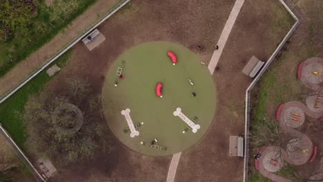 aerial top down shot of circular dog park having fun in nature,jumping and running around