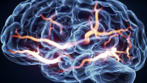 3d illustration of brain's blood vessels