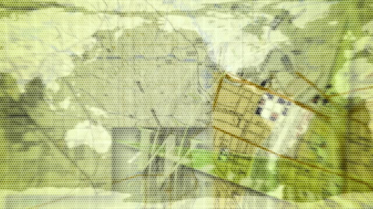 sfondo animato in movimento che mostra il pianeta terra dallo spazio