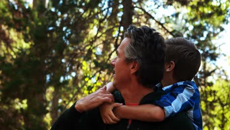padre e hijo mirando la naturaleza en el parque