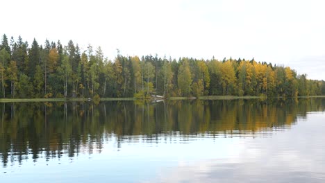 Panning-shot-of-calm-lake-surrounded-by-yellow-autumn-trees