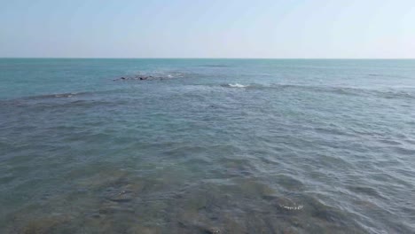 seascape of rocky coast with vast blue ocean in a tropical island. gentle waves breaking on corals. bluish sky over the horizon. drone flying forward over corals and sea water