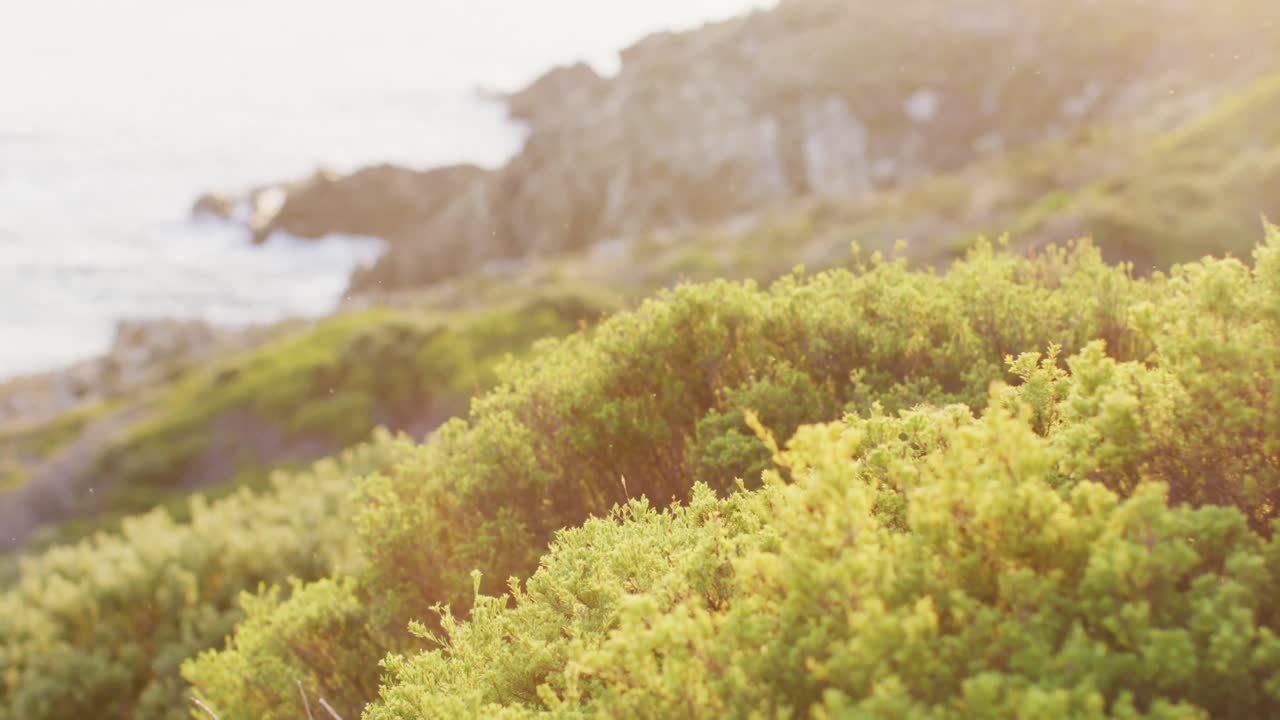 초록색 과 바위 가 있는 해안 의 아름다운 풍경 의 비디오