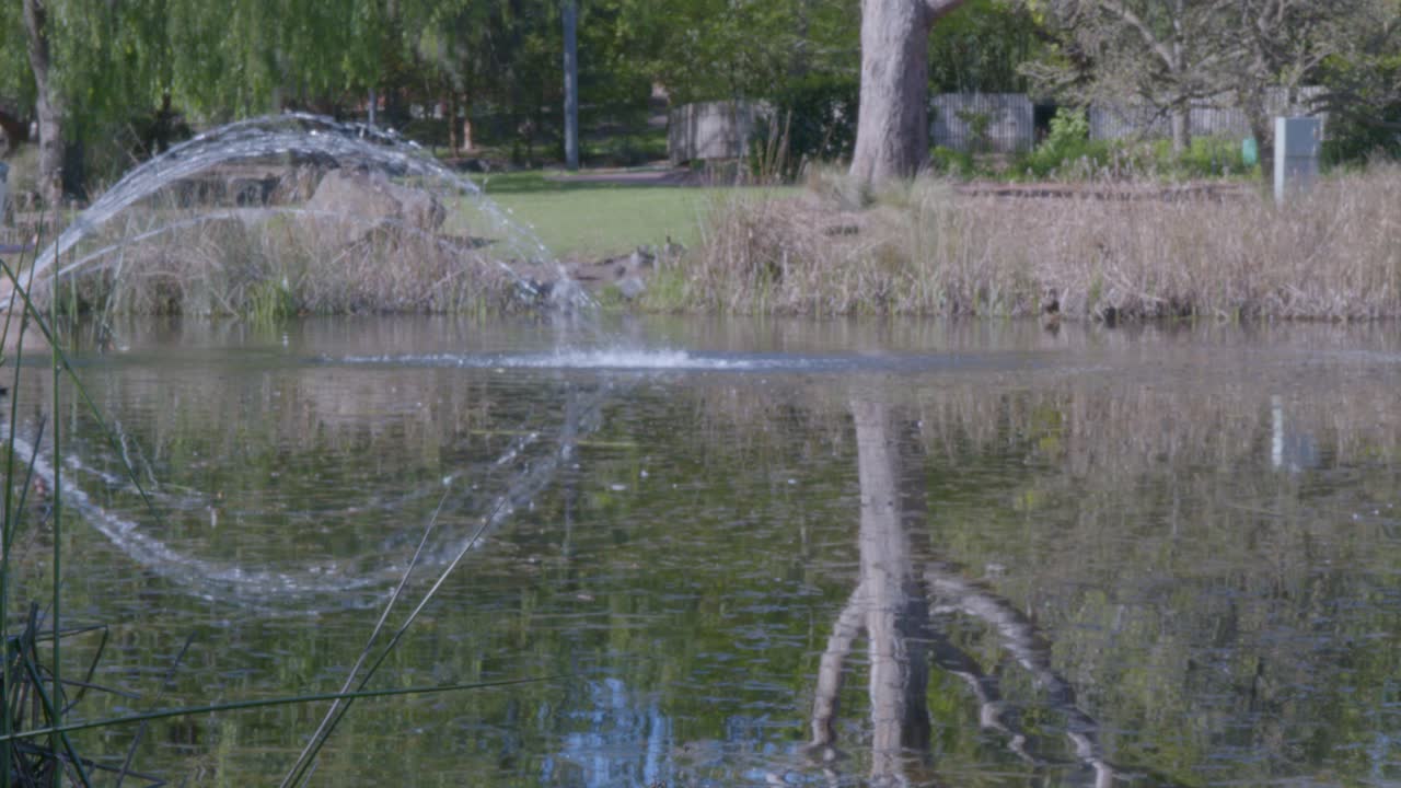 Peaceful pond with fountain spray framed by lush greenery and trees, serene atmosphere with reflective water. Natural lighting enhances tranquility in the landscape view