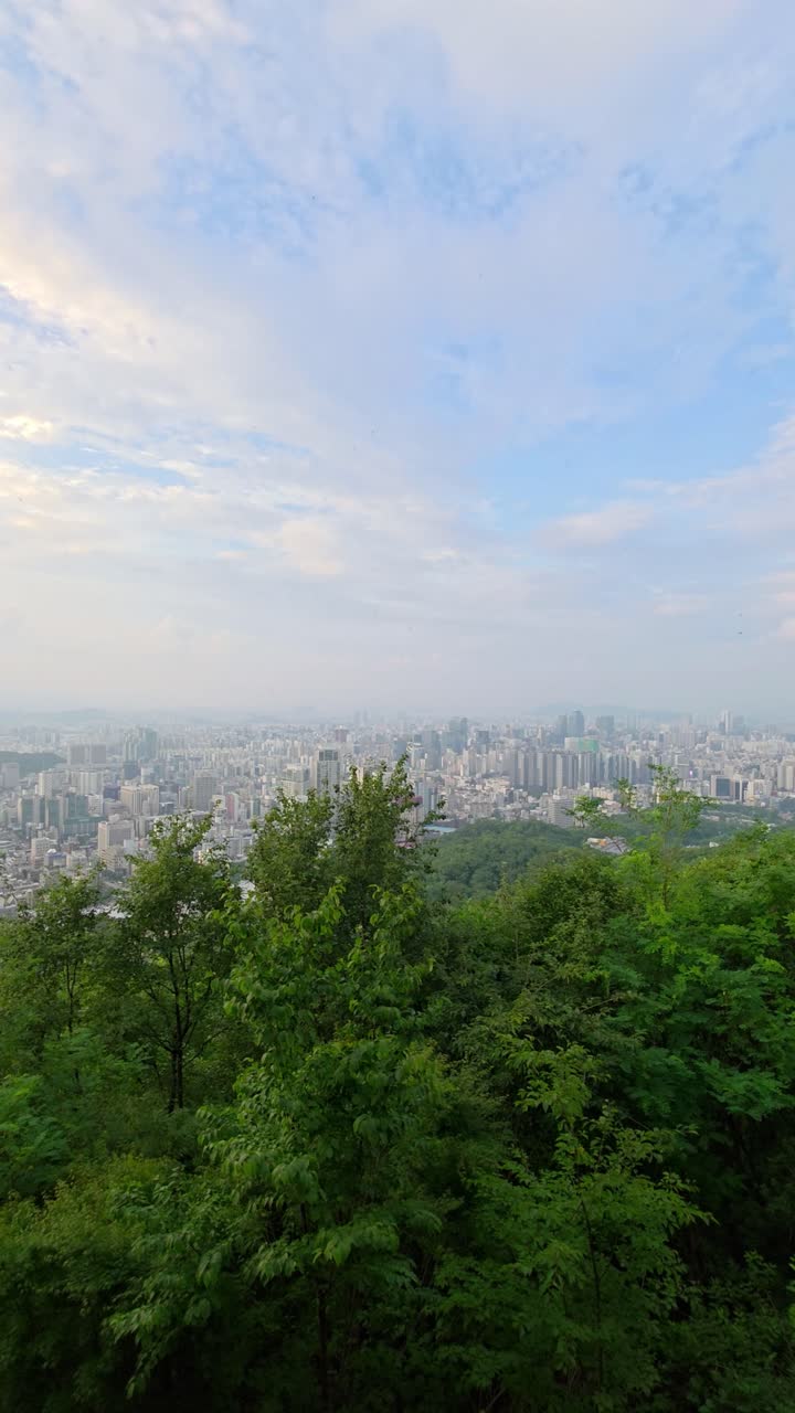 A beautiful panning shot reveals a hazy sunset panorama of the sprawling Seoul cityscape, viewed from the lush green forest of Umyeon Mountain in the Seocho-gu district of South Korea - vertical