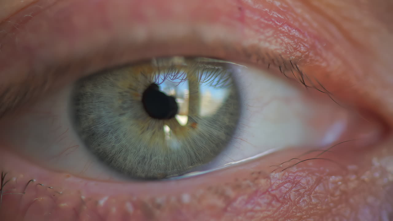 Extreme close up of a human eye with visible details of the iris, eyelashes, and reflections of light