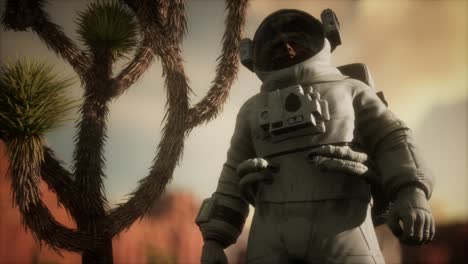 astronauta en el alto desierto de nevada