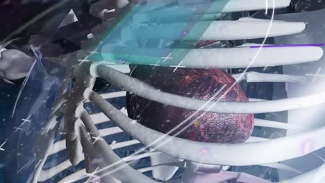 animación de la exploración del alcance sobre el esqueleto