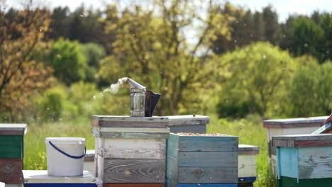 Honey Production And Beekeeping. Bee apiary with group of hives is located on nature