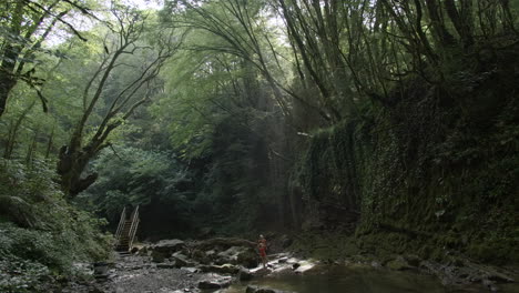 forest river path with person