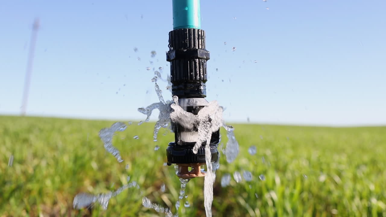 Primo piano di ugello di irrigazione a bolle LEPA su campo di grano verde