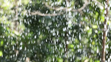 cascading water amidst lush green foliage