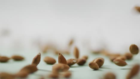 video of falling almonds on white background