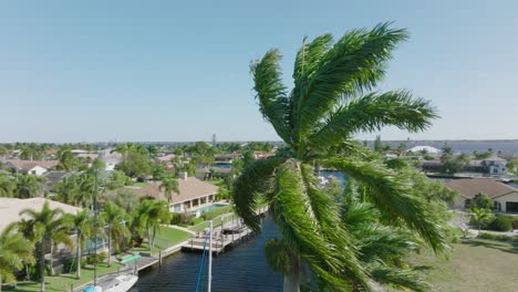 aerial view palm tree blowing in wind on beautiful tropical coastal town