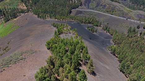 canary pine trees growing on dark volcanic slopes, revealing rugged landscape of gran canaria island with expansive aerial perspective showcasing unique geological terrain
