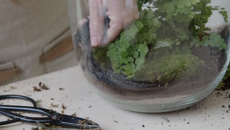 una mujer joven crea un pequeño ecosistema en un terrario de vidrio - preparando las capas decorativas de arena - concepto de preservación de la naturaleza - tiro medio