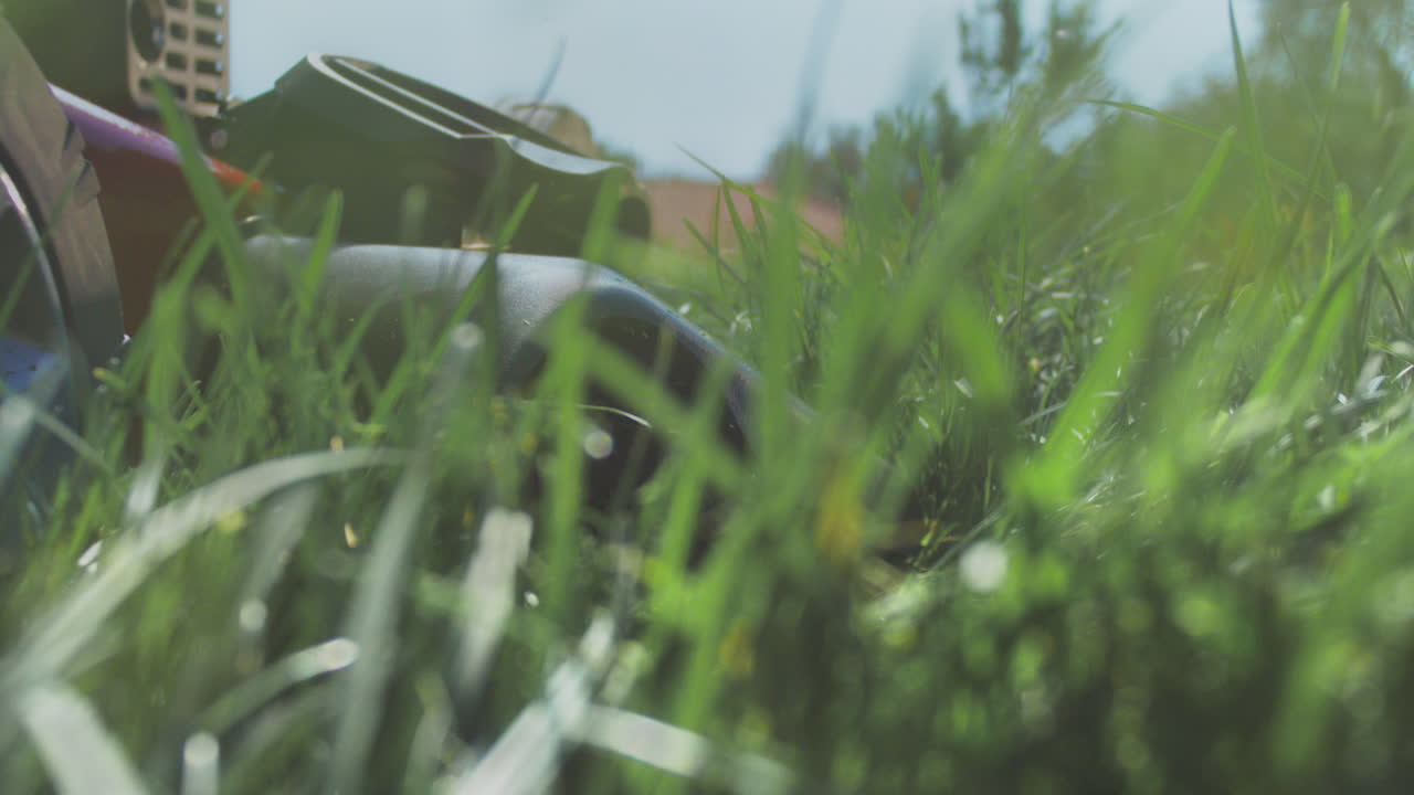 cortadora de césped en un jardín