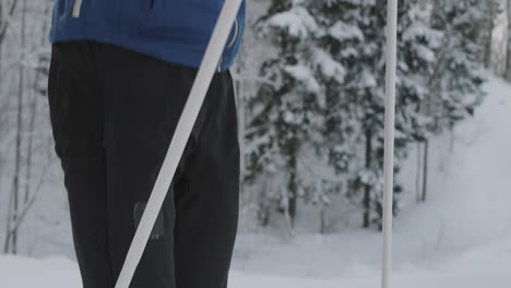 cross-country skiing in a snowy forest