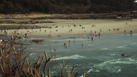 Vorne-Ist-Ein-Trockener-Ast,-Dahinter-Ein-Panoramablick-Auf-Viele-Menschen,-Die-Das-Meer-Besuchen