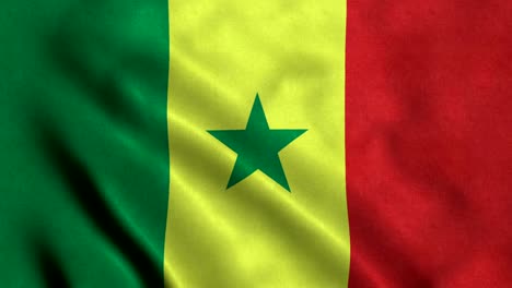 4k seamless loopable flag of senegal