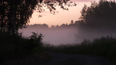 Niebla-Que-Se-Eleva-En-El-Paisaje-Forestal-Temprano-En-La-Mañana-Cerca-Del-Camino-De-Grava,-Vista-Estática