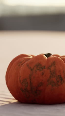 close-up of a pumpkin