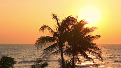 Schöne-Gelbe-Sonne,-Die-Hinter-Silhouettierten-Palmen-Am-Strand-Untergeht