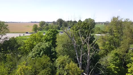 aerial view rising over treetops to reveal white upscale wooden barn wedding venue conversion in idyllic countryside