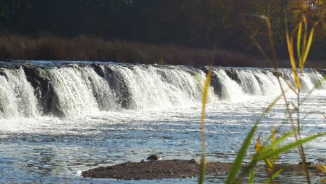 venta river rapid wide shot, the widest waterfall in europe in sunny autumn day, located in kuldiga city, latvia