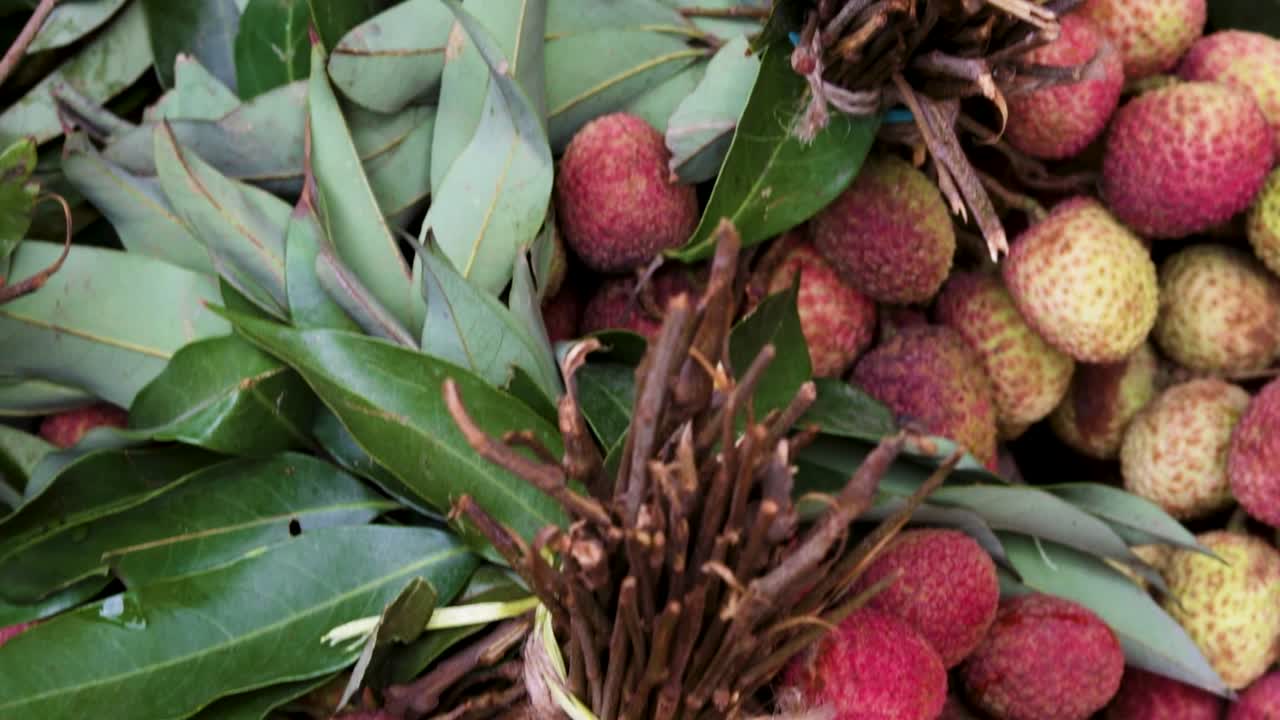 bungkus litchi organik segar dari peternakan dekat dari sudut yang berbeda