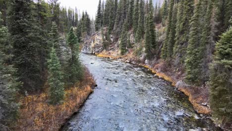 Río-O&#39;donnel-Rodeado-De-Un-Magnífico-Bosque