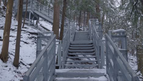 cliffside stair on the side of a steep hill in a snow-covered forest in winter