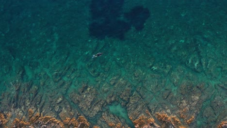 man snorkeling and enjoying the crystal clear turquoise blue water in summer near the losinj island, croatia