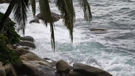 waves crashing on rocky coastline under palm trees