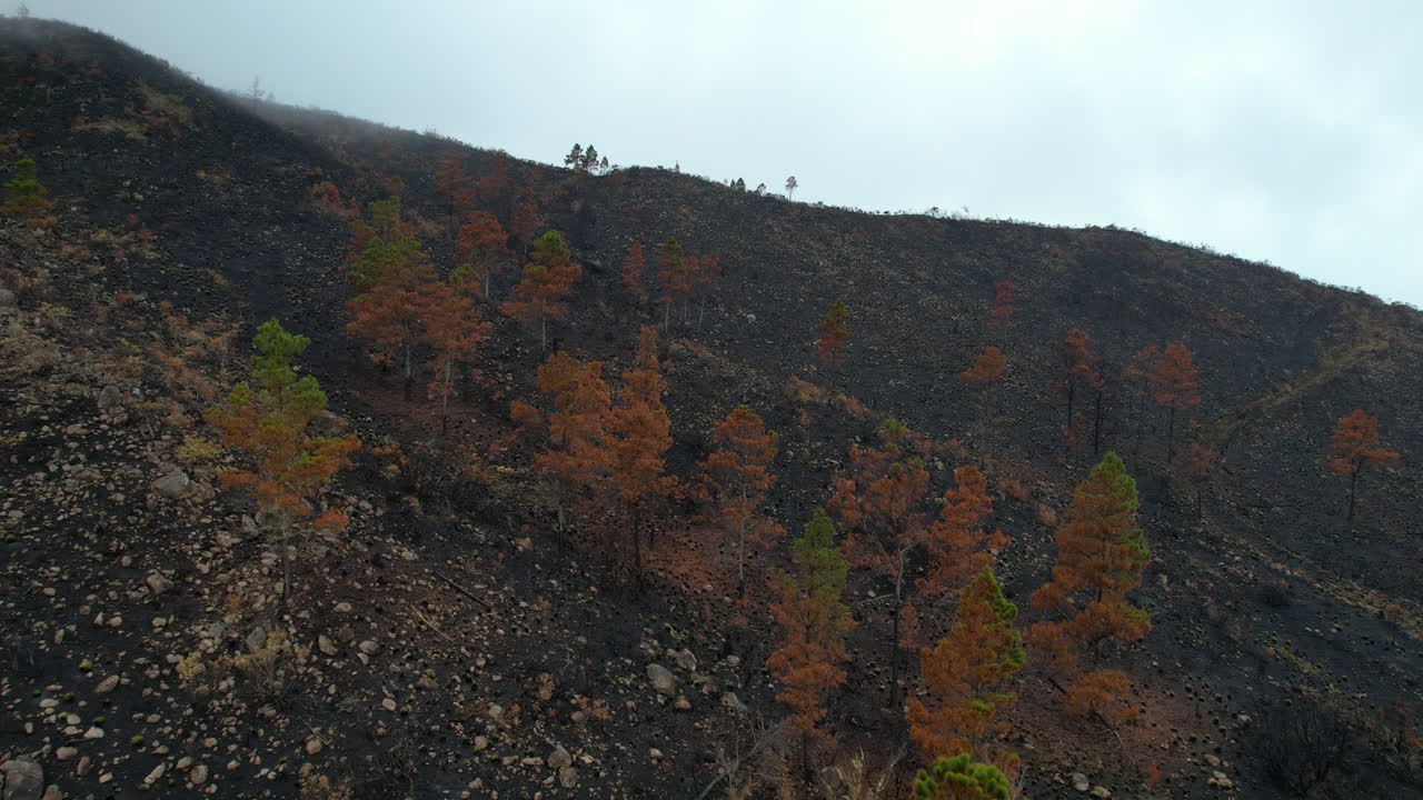 vuelo aéreo cuesta arriba montaña después de arbusto y incendio forestal en la república dominicana