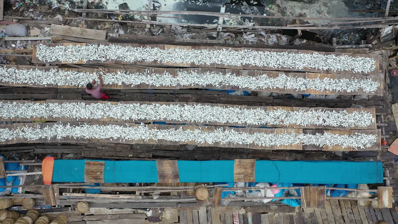 해안 시장 에서 물고기 건조