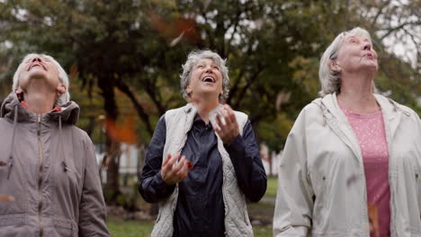 Senior-friends,-park-and-leaves-in-autumn