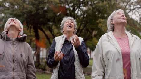 amigos mayores, parque y hojas en otoño