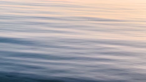 closeup of blue sea water with ripples during golden hour: a tranquil seascape