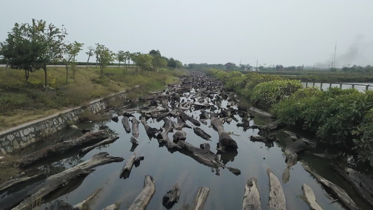 수로에 잠긴 수많은 나무 통나무