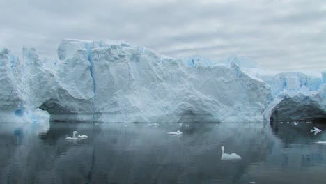 icebergs flottant dans la mer