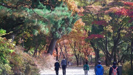 korean people in face masks strolling in changgyeong palace garden in autumn with colorful fall foliage around during covid-19 outbreak in seoul