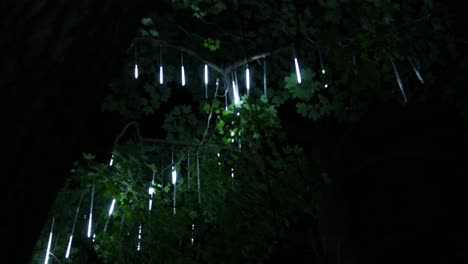 icicle lights hang from the top of a tree and create a dripping effect as the camera films from a low angle