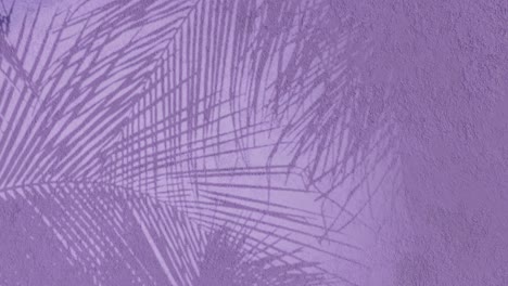 floral-background-animation-tropical-3d-rendering,-animated-shadow-on-purple-texture-wall,-plastered-wall-texture,-moving-ferns-flower-plant-branches,-palm-leaves,-theme-backdrop-cgi,-silhouette