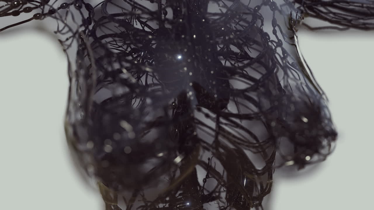 exploración médica del sistema circulatorio humano