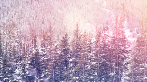 Snow-falling-over-multiple-snow-covered-trees-on-winter-landscape